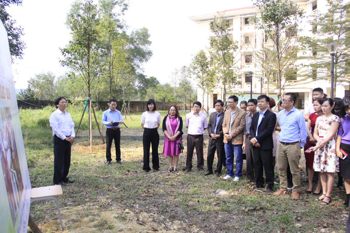 phat-dong-tet-trong-cay-xuan-mau-tuat-nam-2018