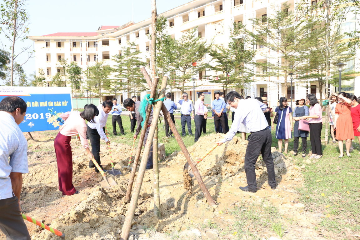 phat-dong-tet-trong-cay-doi-doi-nho-on-bac-ho-nam-2019